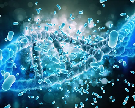 Carotenoides en la Microbiota Intestinal