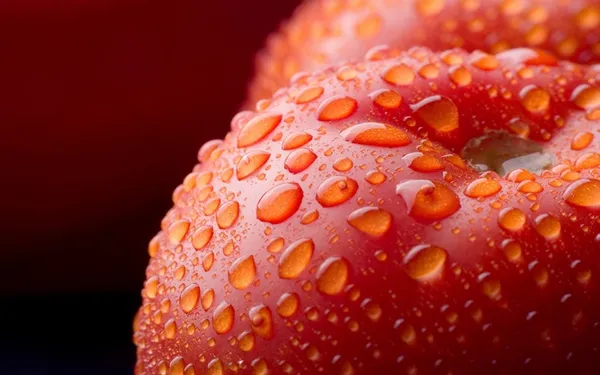 Extracto de Tomate